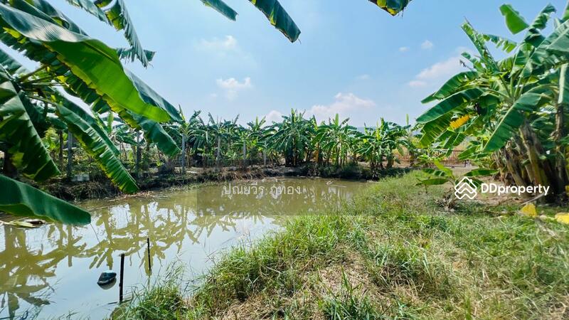 ที่ดินเอกชัย 99/1 ข้าง รพ.นครธน 2 ตรงข้ามเดอะริซ พลาซ่า 200 ตรว. ราคาถูกสุด