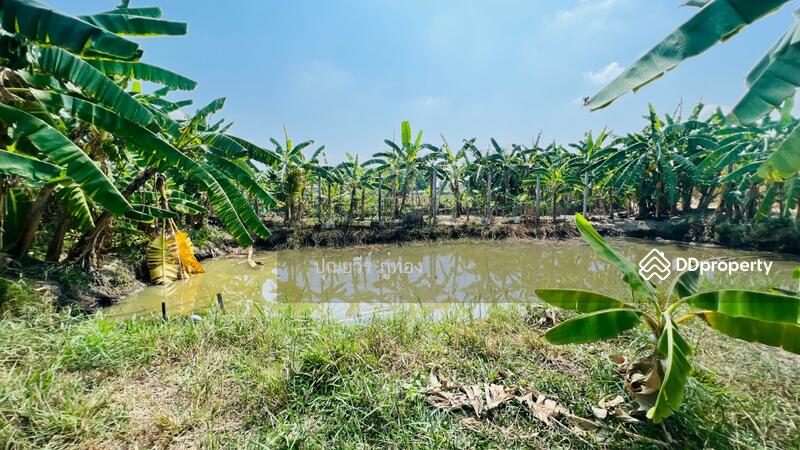 ที่ดินเอกชัย 99/1 ข้าง รพ.นครธน 2 ตรงข้ามเดอะริซ พลาซ่า 200 ตรว. ราคาถูกสุด