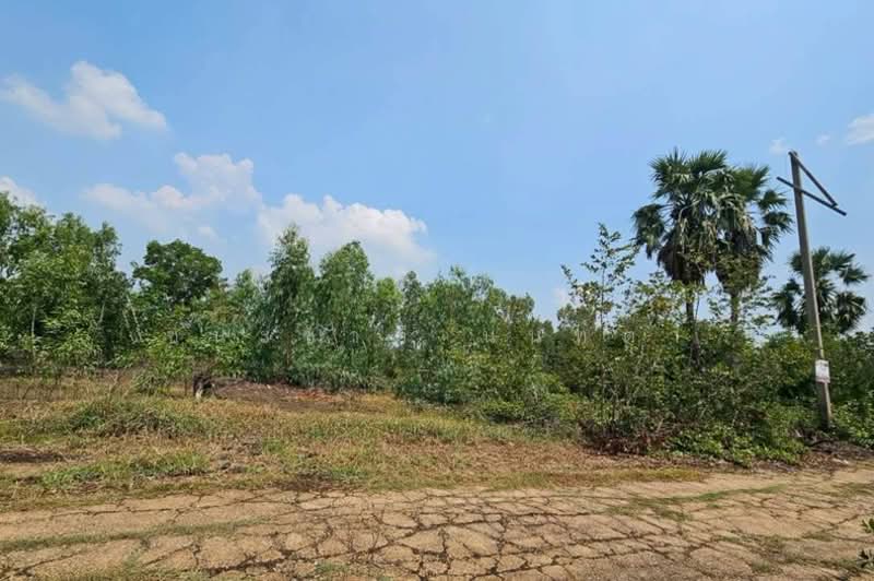 ขาย - ที่ดินเปล่า หมู่บ้าน อลิสรา ลาดบัวหลวง เนื้อที่ 1-0-35 ไร่ อ.ลาดบัวหลวง จ.อยุธยา, พระนครศรีอยุธยา