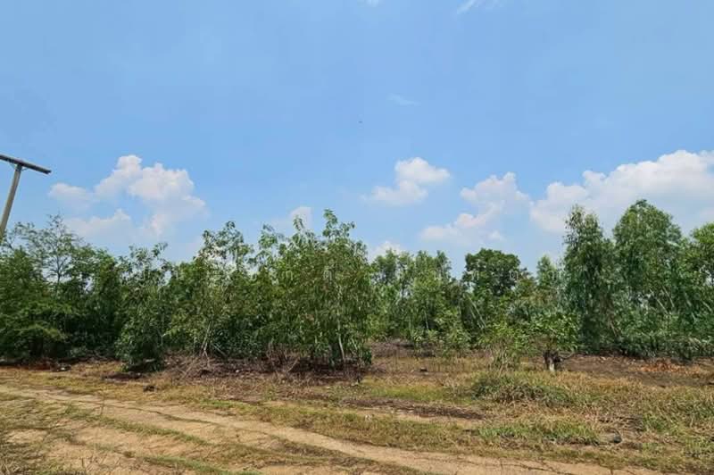 ขาย - ที่ดินเปล่า หมู่บ้าน อลิสรา ลาดบัวหลวง เนื้อที่ 1-0-35 ไร่ อ.ลาดบัวหลวง จ.อยุธยา, พระนครศรีอยุธยา