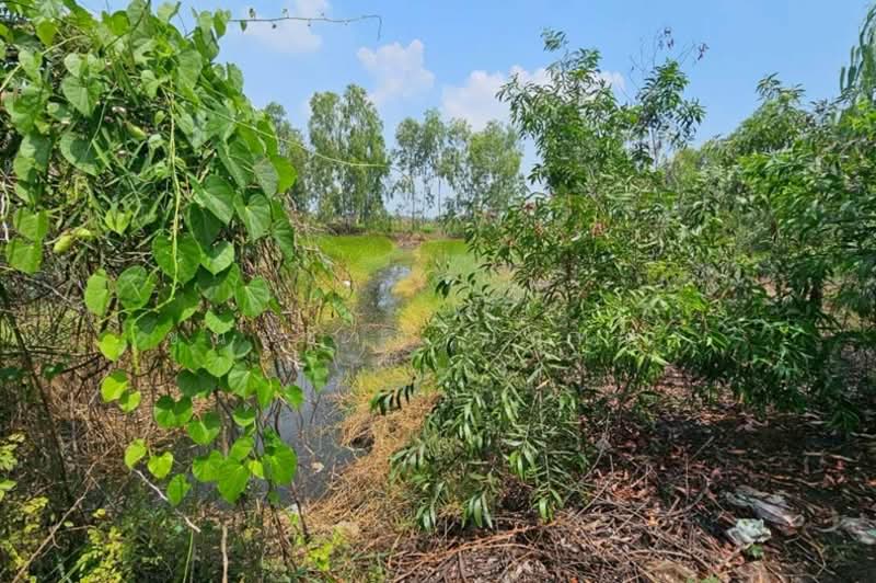 ขาย - ที่ดินเปล่า หมู่บ้าน อลิสรา ลาดบัวหลวง เนื้อที่ 1-0-35 ไร่ อ.ลาดบัวหลวง จ.อยุธยา, พระนครศรีอยุธยา