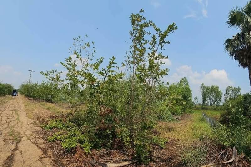 ขาย - ที่ดินเปล่า หมู่บ้าน อลิสรา ลาดบัวหลวง เนื้อที่ 1-0-35 ไร่ อ.ลาดบัวหลวง จ.อยุธยา, พระนครศรีอยุธยา