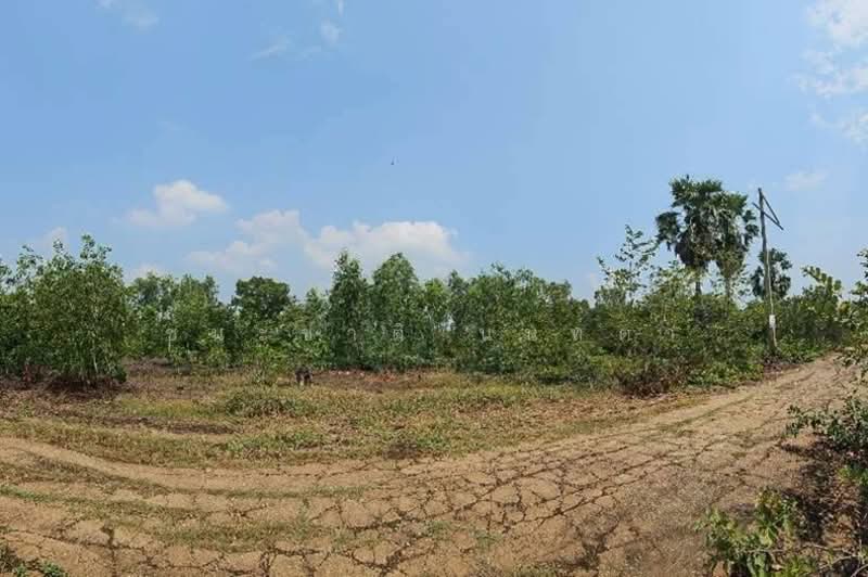 ที่ดินเปล่า หมู่บ้าน อลิสรา ลาดบัวหลวง เนื้อที่ 1-0-35 ไร่ อ.ลาดบัวหลวง จ.อยุธยา, Phra Nakhon Si Ayutthaya, Lat Bua Luang, Lat Bua Luang, Phra Nakhon Si Ayutthaya, , 1,740 sqm, Land For Sale, by ชนะชาติ นนท์ตา, 11765240 - DDproperty.com