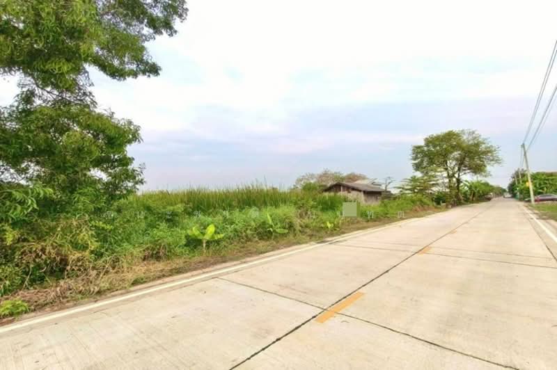 ที่ดินเปล่า แปลงมุม ไสวประชาราษฎร์ 35 เนื้อที่ 100 ตรว. ต.ลาดสวาย อ.ลำลูกกา จ.ปทุมธานี, ปทุมธานี, ลาดสวาย, ลำลูกกา, ปทุมธานี, 400 ตร.ม., ที่ดิน ขาย, โดย ชนะชาติ นนท์ตา, 11765439 - DDproperty.com