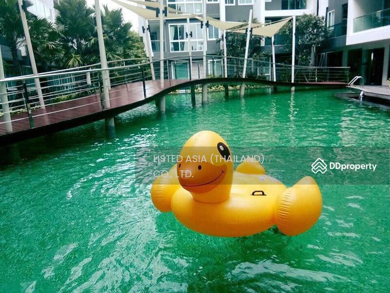 For Rent - The Feelture Condominium, Chon Buri