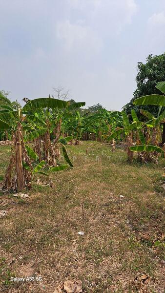 Land for Sale in Chon Buri, Chon Buri (Pattaya), Bang Lamung, Bang Lamung (Pattaya), Chon Buri (Pattaya), , 11,770 sqm, Land For Sale, by Magic Property, 11766339 - DDproperty.com