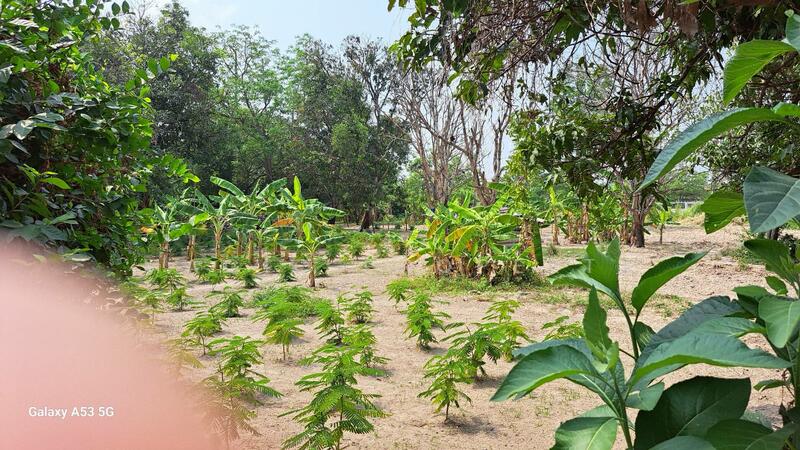 Land for Sale in Chon Buri, Chon Buri (Pattaya), Bang Lamung, Bang Lamung (Pattaya), Chon Buri (Pattaya), , 11,770 sqm, Land For Sale, by Magic Property, 11766339 - DDproperty.com