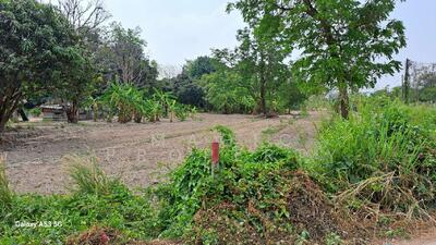 ขาย - Land for Sale in Chon Buri, ชลบุรี