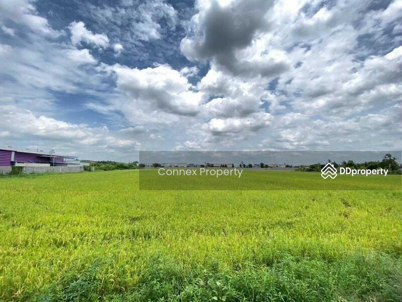 ขาย - Land for sale, good location in Sam Khok, Pathum Thani. ขายที่ดินทำเลดีในสามโคก, ปทุมธานี, ปทุมธานี