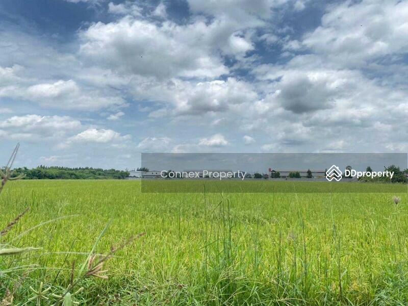 ขาย - Land for sale, good location in Sam Khok, Pathum Thani. ขายที่ดินทำเลดีในสามโคก, ปทุมธานี, ปทุมธานี