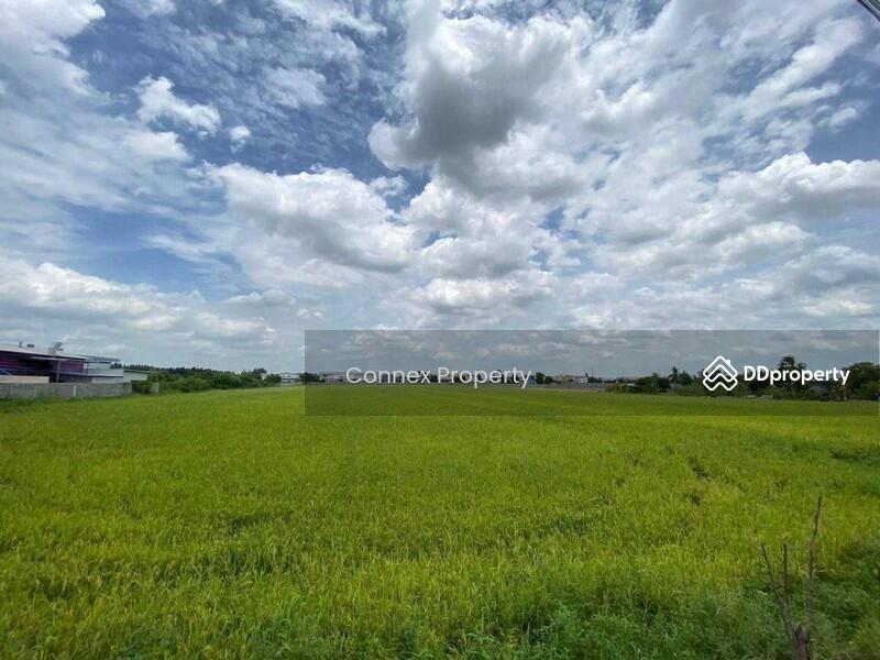 ขาย - Land for sale, good location in Sam Khok, Pathum Thani. ขายที่ดินทำเลดีในสามโคก, ปทุมธานี, ปทุมธานี