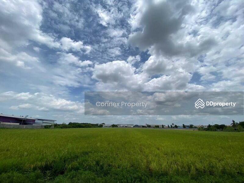 ขาย - Land for sale, good location in Sam Khok, Pathum Thani. ขายที่ดินทำเลดีในสามโคก, ปทุมธานี, ปทุมธานี