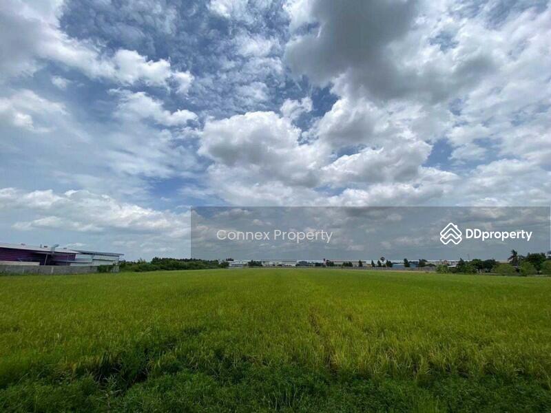 ขาย - Land for sale, good location in Sam Khok, Pathum Thani. ขายที่ดินทำเลดีในสามโคก, ปทุมธานี, ปทุมธานี