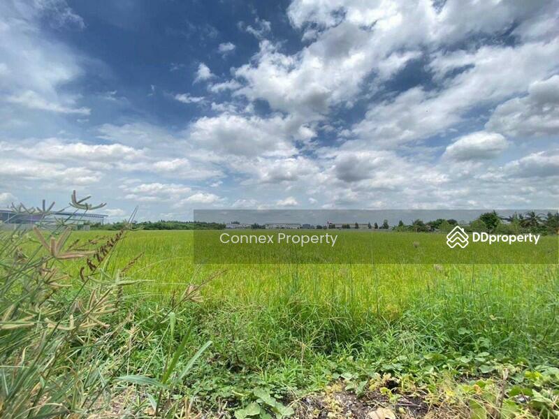 ขาย - Land for sale, good location in Sam Khok, Pathum Thani. ขายที่ดินทำเลดีในสามโคก, ปทุมธานี, ปทุมธานี