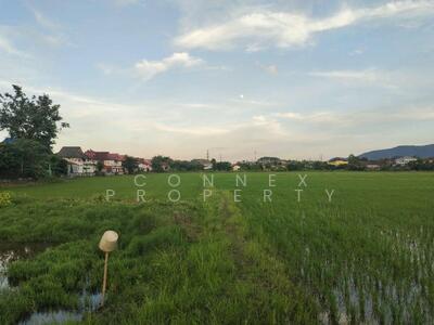 ขาย - Empty land for sale in Mae Kon, Chiang Rai. ขายที่ดินเปล่าในแม่กรณ์, เชียงราย, เชียงราย
