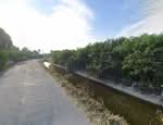 ขายที่ดินสวยหนองบอนแดง 5 ไร่ เหมาะทำโรงงาน ใกล้ตัวเมืองบ้านบึง 7 กม. ติดคลอง อ.บ้านบึง, ชลบุรี