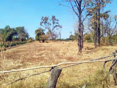 ขาย - ที่ดินสีดา นครราชสีมา, นครราชสีมา