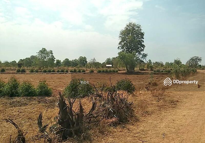 For Sale - ที่ดินสีดา นครราชสีมา, Nakhon Ratchasima