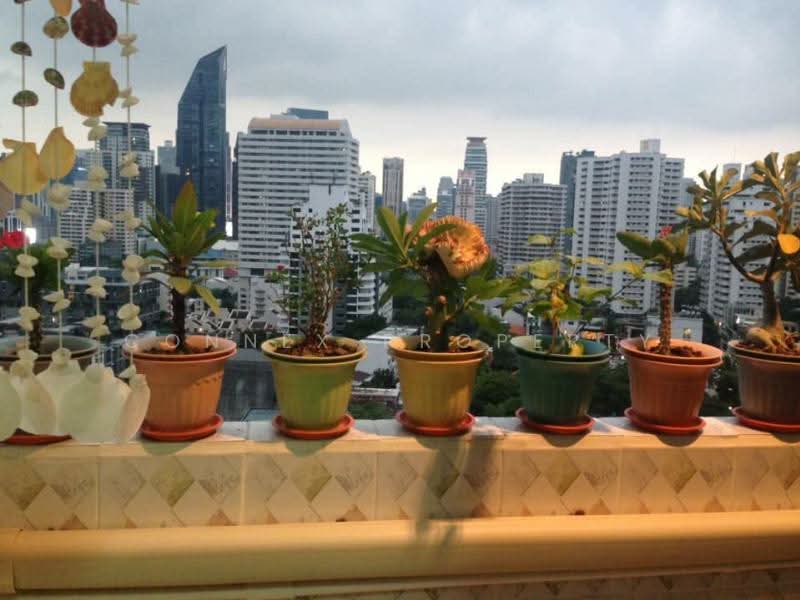The Waterford Park, Bangkok, Soi Sukhumvit 53, Khlong Tan Nua, Watthana, Bangkok, 1 Bedroom, 68 sqm, Condo For Sale, by Connex Property, 11766733 - DDproperty.com