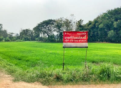 ขาย - ที่ดินบ้านด่าน อุตรดิตถ์, อุตรดิตถ์