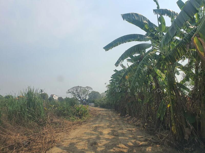 Land plot of Sala Thammasop, Phutthamonthon Sai 3, Bangkok, ศาลาธรรมสพน์ พุทธมณฑล สาย 3, Khlong Chan, Bang Kapi, Bangkok, , 11,523 sqm, Land For Rent, by Thanitcha Kangkasuwanno, 11767391 - DDproperty.com