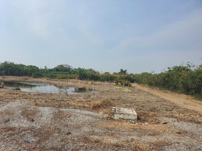 Land plot of Sala Thammasop, Phutthamonthon Sai 3, Bangkok, ศาลาธรรมสพน์ พุทธมณฑล สาย 3, Khlong Chan, Bang Kapi, Bangkok, , 11,523 sqm, Land For Rent, by Thanitcha Kangkasuwanno, 11767391 - DDproperty.com