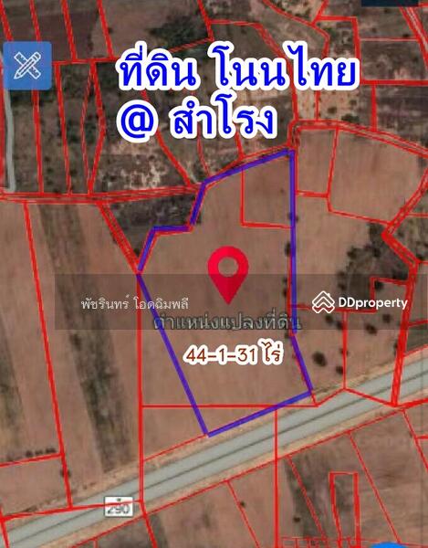 ขาย - โนนไทย 44 ไร่, นครราชสีมา