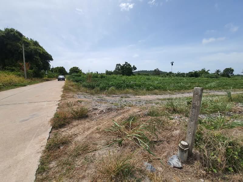 ขายที่ดินบางเสร่ถมแล้ว 4 ไร่ ติดถนนคอนกรีต ใกล้ถนนสุขุมวิท3 อ.สัตหีบ, ชลบุรี, บางเสร่, สัตหีบ, ชลบุรี, 6,652 ตร.ม., ที่ดิน ขาย, โดย RICHWELL INTERPLUS, 11767811 - DDproperty.com