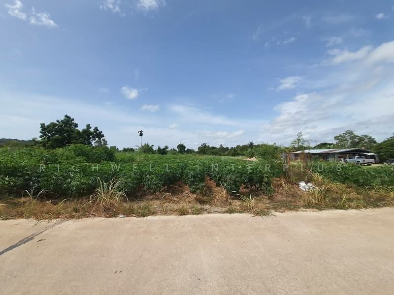 Land for sale in Bang Saray, 4 rai filled, next to concrete road, near Sukhumvit 3 Road, Chon Buri (Pattaya), Bang Sa-re, Sattahip, Chon Buri (Pattaya), , 6,652 sqm, Land For Sale, by RICHWELL INTERPLUS, 11767811 - DDproperty.com