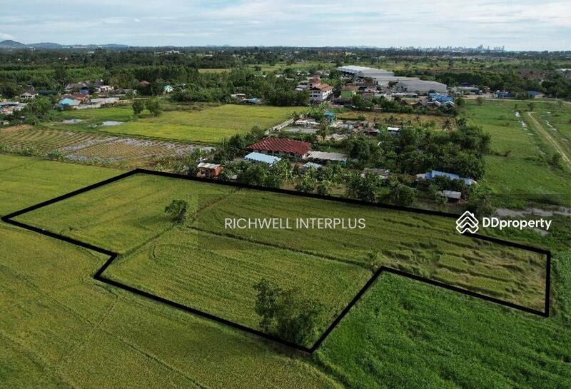 ขาย - ขายที่ดินบึง 4 ไร่ ซอยหนองคล้าเก่า หลังเครือสหพัฒน์ ใกล้ท่าเรือแหลมฉบัง8กม. อ.ศรีราชา, ชลบุรี