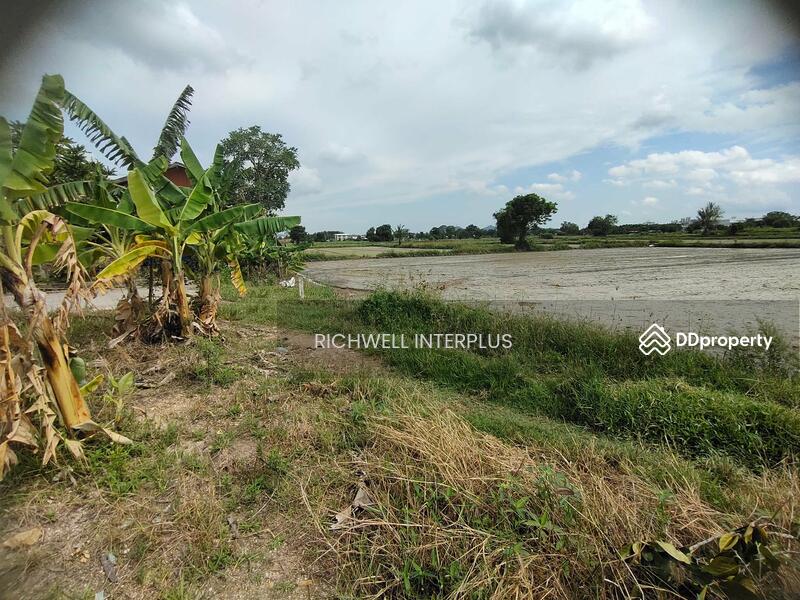 ขาย - ขายที่ดินบึง 4 ไร่ ซอยหนองคล้าเก่า หลังเครือสหพัฒน์ ใกล้ท่าเรือแหลมฉบัง8กม. อ.ศรีราชา, ชลบุรี