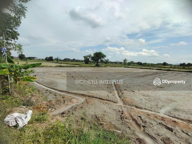 ขาย - ขายที่ดินบึง 4 ไร่ ซอยหนองคล้าเก่า หลังเครือสหพัฒน์ ใกล้ท่าเรือแหลมฉบัง8กม. อ.ศรีราชา, ชลบุรี