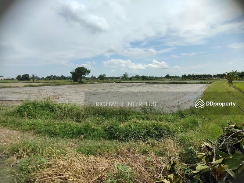 ขาย - ขายที่ดินบึง 4 ไร่ ซอยหนองคล้าเก่า หลังเครือสหพัฒน์ ใกล้ท่าเรือแหลมฉบัง8กม. อ.ศรีราชา, ชลบุรี