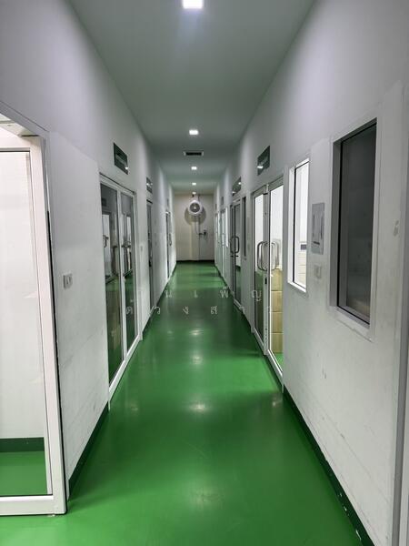 ขายสำนักงานและโรงงาน พื้นที่สีม่วง ตกแต่งพร้อมไลน์การผลิตอาหารเสริม/เครื่องสำอาง มีใบ รง.4, ปทุมธานี, ลำลูกกา คลอง 8, ลำลูกกา, ปทุมธานี, 1,000 ตร.ม., โกดัง-โรงงาน ขาย, โดย วันเพ็ญ ด้วงสาว, 11767887 - DDproperty.com