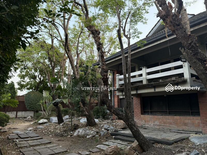 ให้เช่า - บ้านเดี่ยวซอยลาดพร้าว 128, กรุงเทพ