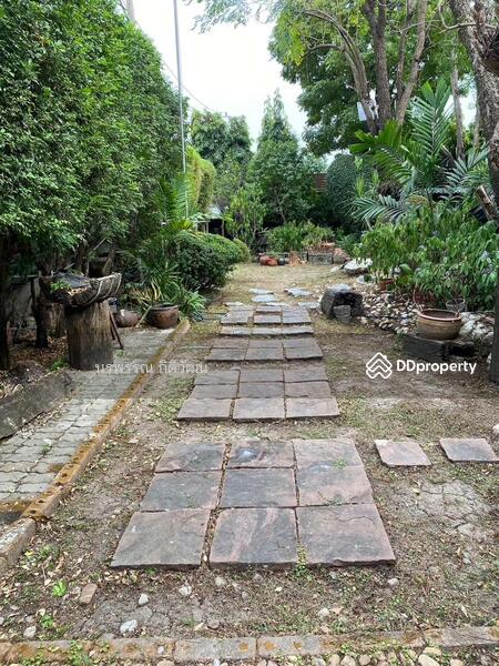 ให้เช่า - บ้านเดี่ยวซอยลาดพร้าว 128, กรุงเทพ