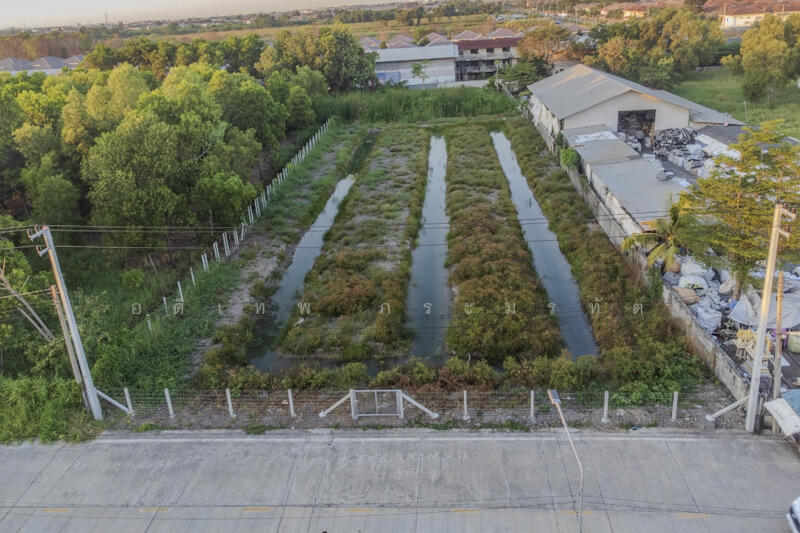 ที่ดินคลอง2, Pathum Thani, Khlong Song, Khlong Luang, Pathum Thani, , 3,220 sqm, Land For Sale, by อดิเทพ ภระมรทัต, 11768035 - DDproperty.com