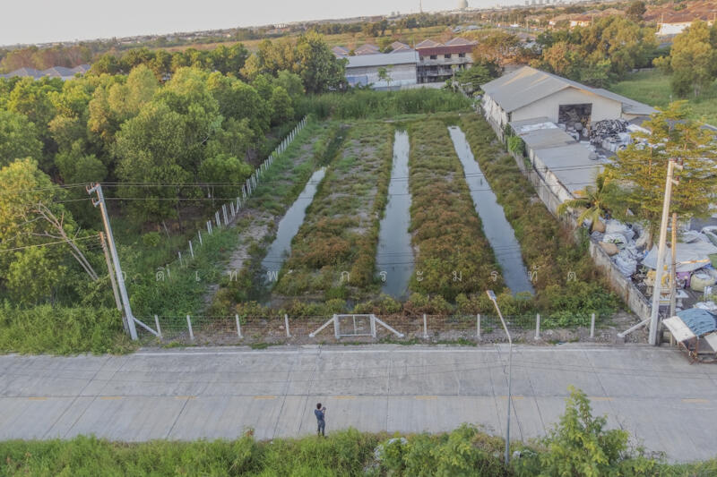 ที่ดินคลอง2, Pathum Thani, Khlong Song, Khlong Luang, Pathum Thani, , 3,220 sqm, Land For Sale, by อดิเทพ ภระมรทัต, 11768035 - DDproperty.com