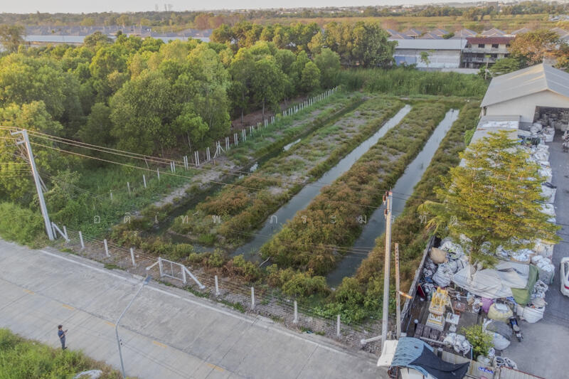 ที่ดินคลอง2, Pathum Thani, Khlong Song, Khlong Luang, Pathum Thani, , 3,220 sqm, Land For Sale, by อดิเทพ ภระมรทัต, 11768035 - DDproperty.com