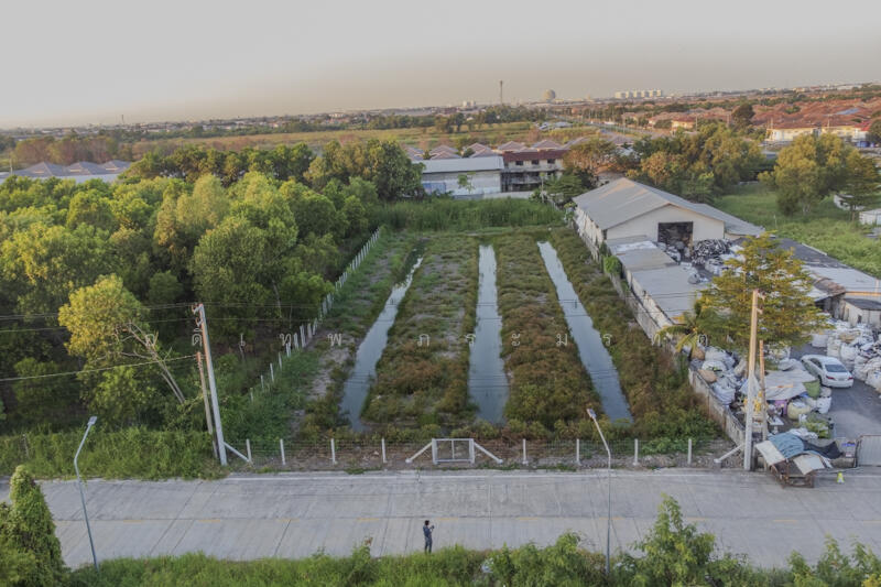 ที่ดินคลอง2, ปทุมธานี, คลองสอง, คลองหลวง, ปทุมธานี, 3,220 ตร.ม., ที่ดิน ขาย, โดย อดิเทพ ภระมรทัต, 11768035 - DDproperty.com