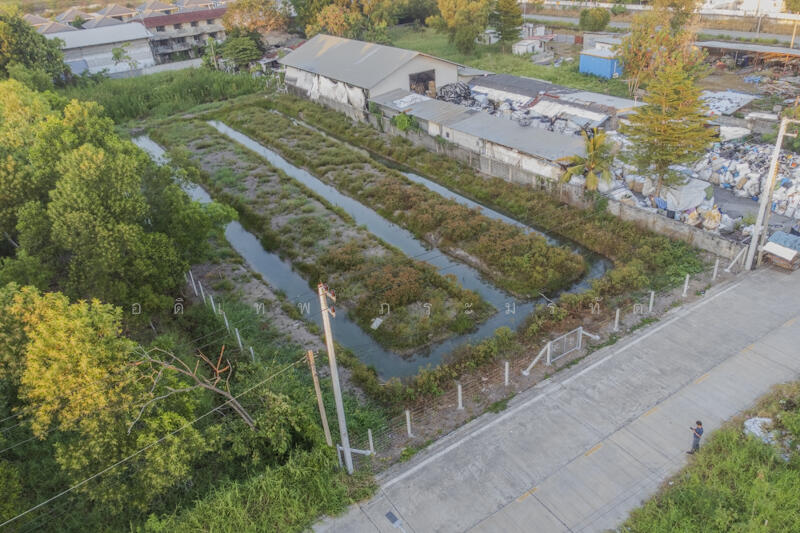 ที่ดินคลอง2, Pathum Thani, Khlong Song, Khlong Luang, Pathum Thani, , 3,220 sqm, Land For Sale, by อดิเทพ ภระมรทัต, 11768035 - DDproperty.com