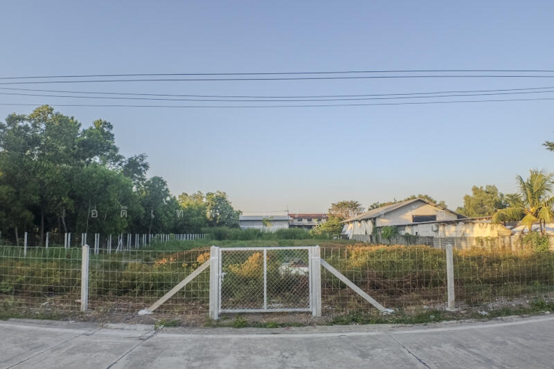 ที่ดินคลอง2, ปทุมธานี, คลองสอง, คลองหลวง, ปทุมธานี, 3,220 ตร.ม., ที่ดิน ขาย, โดย อดิเทพ ภระมรทัต, 11768035 - DDproperty.com