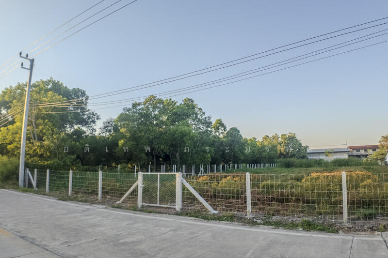 ที่ดินคลอง2, ปทุมธานี, คลองสอง, คลองหลวง, ปทุมธานี, 3,220 ตร.ม., ที่ดิน ขาย, โดย อดิเทพ ภระมรทัต, 11768035 - DDproperty.com