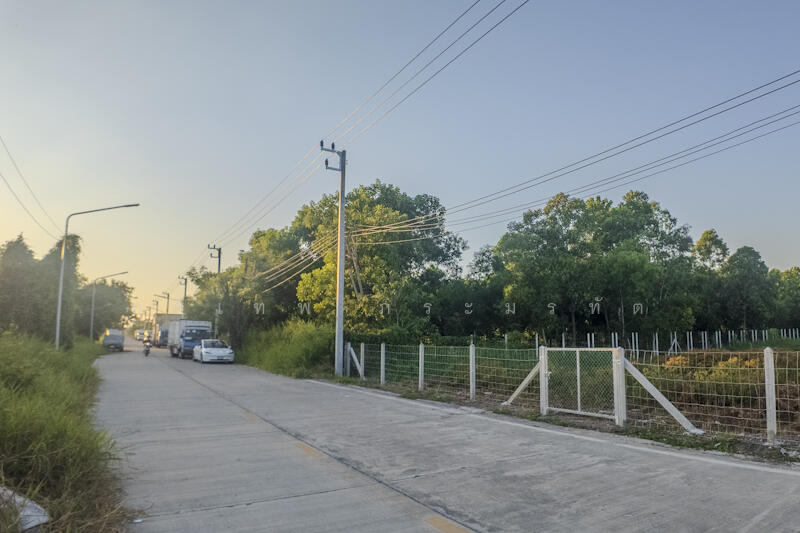 ที่ดินคลอง2, ปทุมธานี, คลองสอง, คลองหลวง, ปทุมธานี, 3,220 ตร.ม., ที่ดิน ขาย, โดย อดิเทพ ภระมรทัต, 11768035 - DDproperty.com