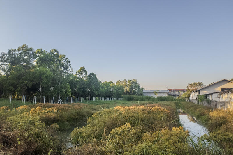 ที่ดินคลอง2, Pathum Thani, Khlong Song, Khlong Luang, Pathum Thani, , 3,220 sqm, Land For Sale, by อดิเทพ ภระมรทัต, 11768035 - DDproperty.com