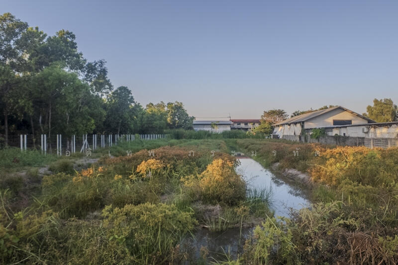 ที่ดินคลอง2, Pathum Thani, Khlong Song, Khlong Luang, Pathum Thani, , 3,220 sqm, Land For Sale, by อดิเทพ ภระมรทัต, 11768035 - DDproperty.com