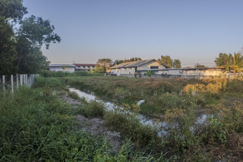 ที่ดินคลอง2, Pathum Thani, Khlong Song, Khlong Luang, Pathum Thani, , 3,220 sqm, Land For Sale, by อดิเทพ ภระมรทัต, 11768035 - DDproperty.com
