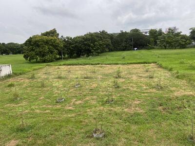 ขาย - ขายที่ดิน กรีนวัลเล่ย์บางนา, สมุทรปราการ