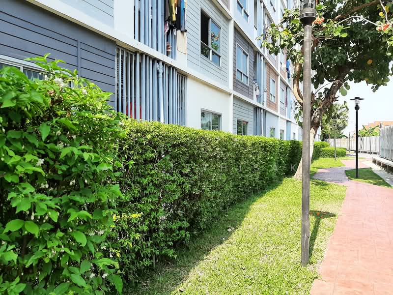 624 Condolette Ladprao : 624 คอนโดเลต ลาดพร้าว, กรุงเทพ, 46 เสรีไทย, คลองจั่น, บางกะปิ, กรุงเทพ, 29 ตร.ม., คอนโด ให้เช่า, โดย Sak Sitthisak, 11768610 - DDproperty.com