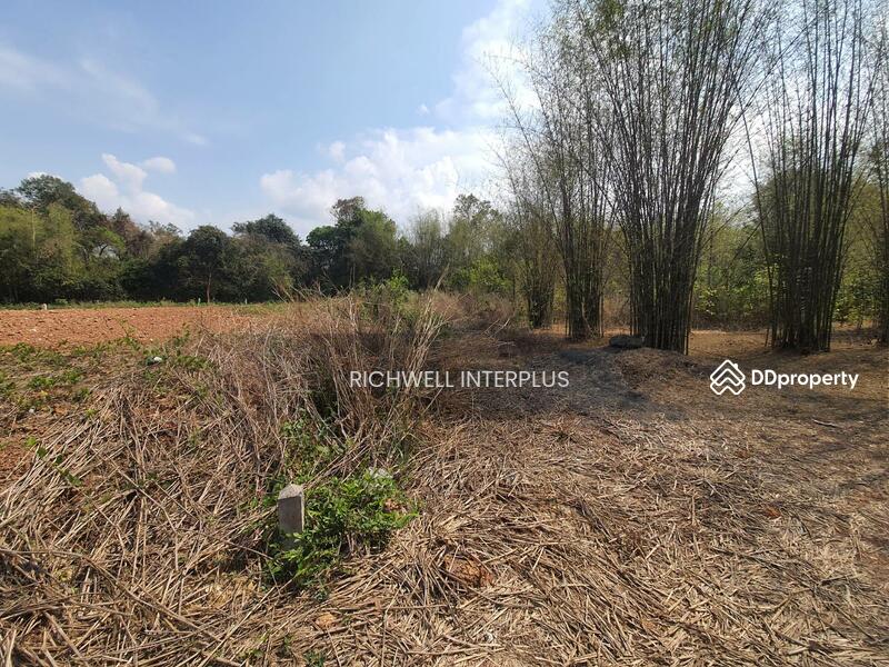 For Sale - Land for sale, filled behind Khok Phib Municipality, 75 sq m., near Route 319 - 1.2 km., Si Mahosot., Prachin Buri